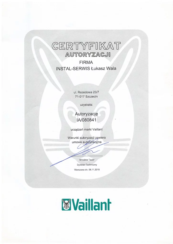 Serwis Vaillant ecoTec