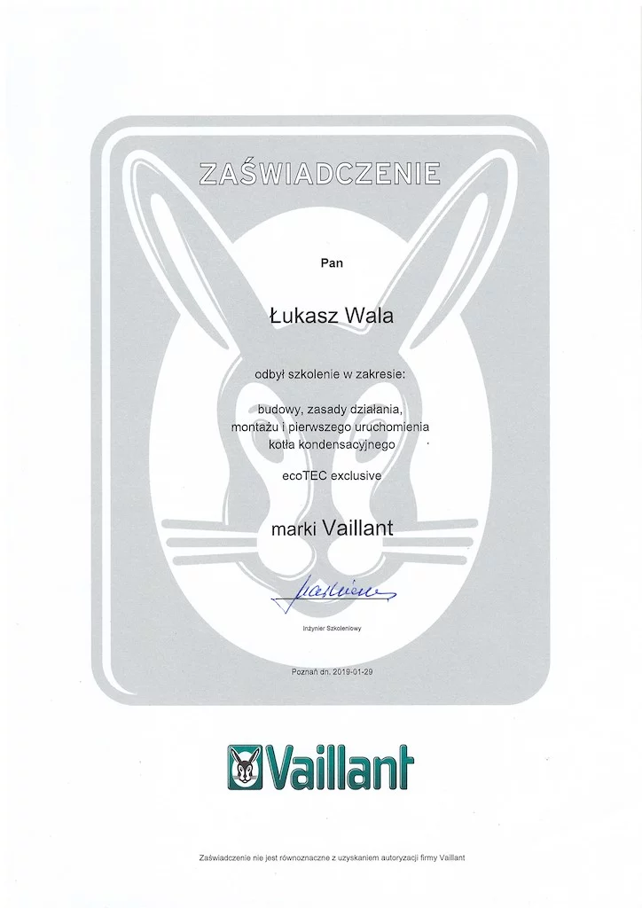 Vaillant ecoTec